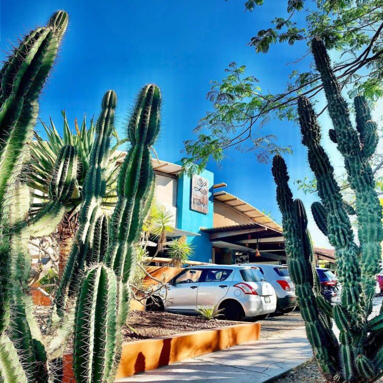 60969beb a427 4c72 92db f3098c2ee4c6 768x768