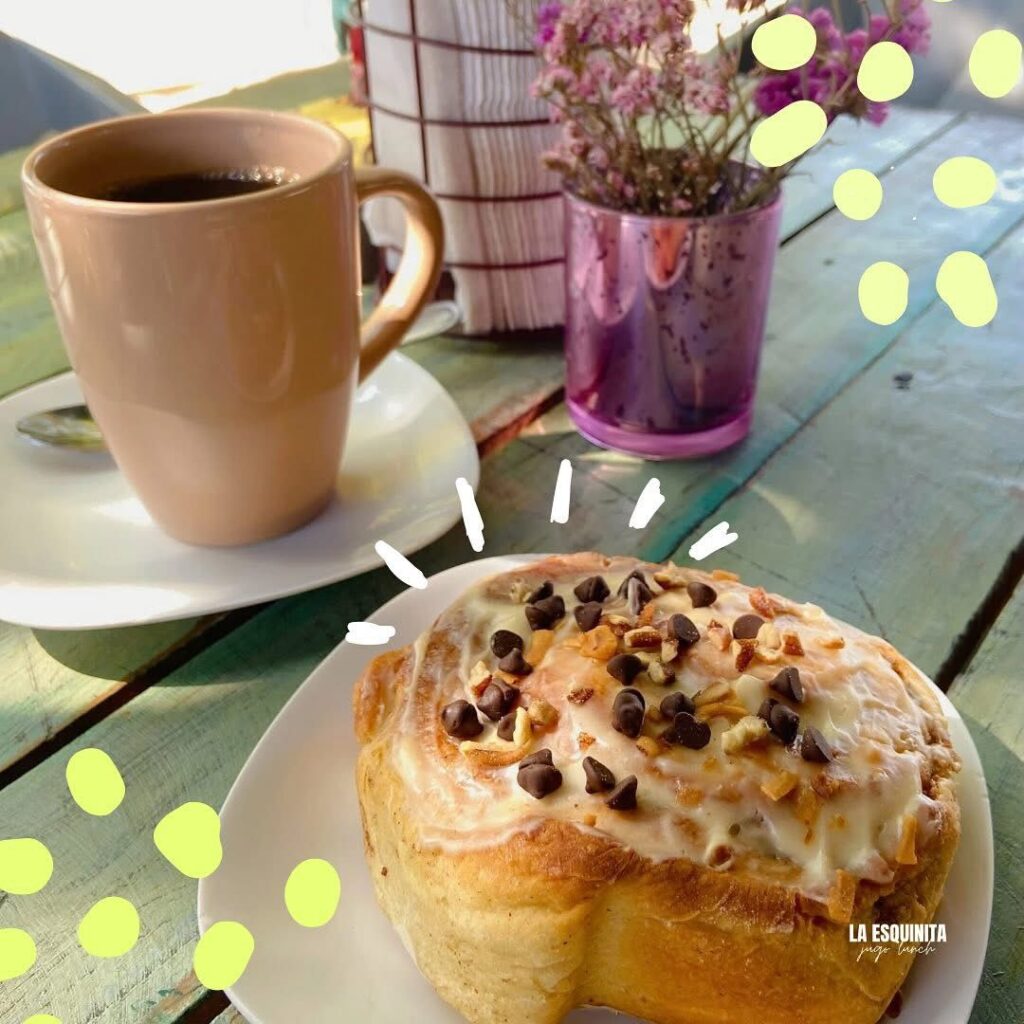 681d81d1 9b04 4f22 92ed 61a2bb9e86c0 1024x1024