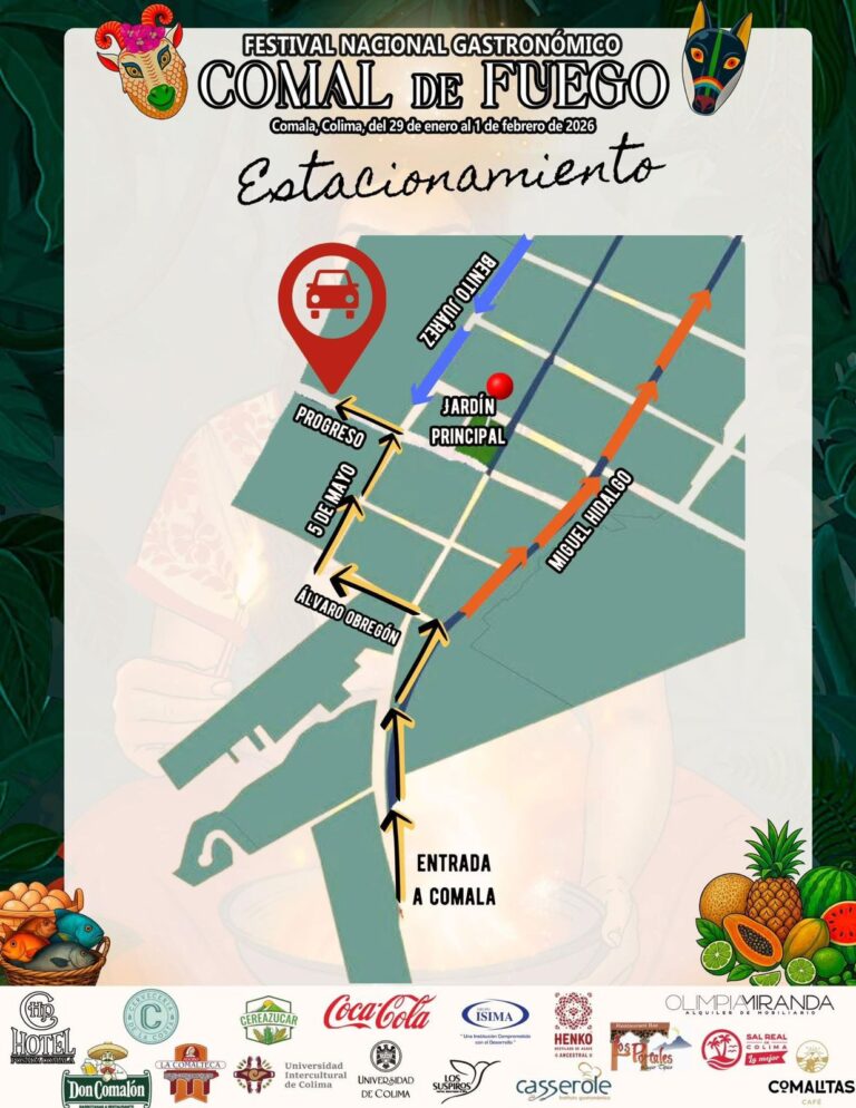 96e1c7c2 122f 4588 b49f 723c3c3da50e 768x994