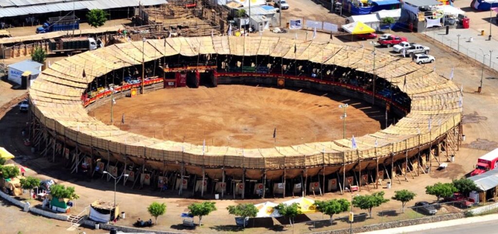 Petatera Subsectur Colima 1024x481