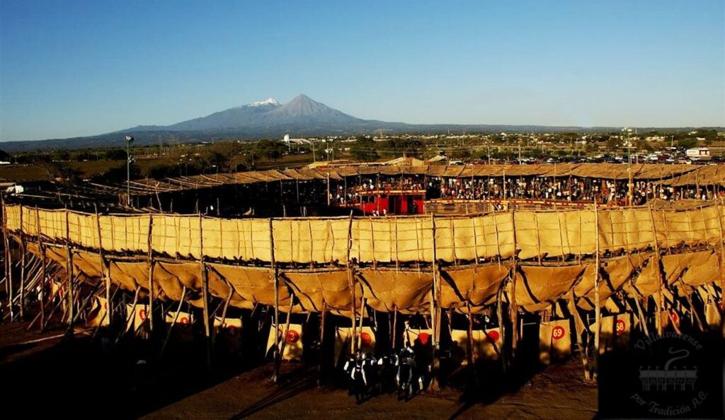 la petatera 1 d748a985e2 1024x594