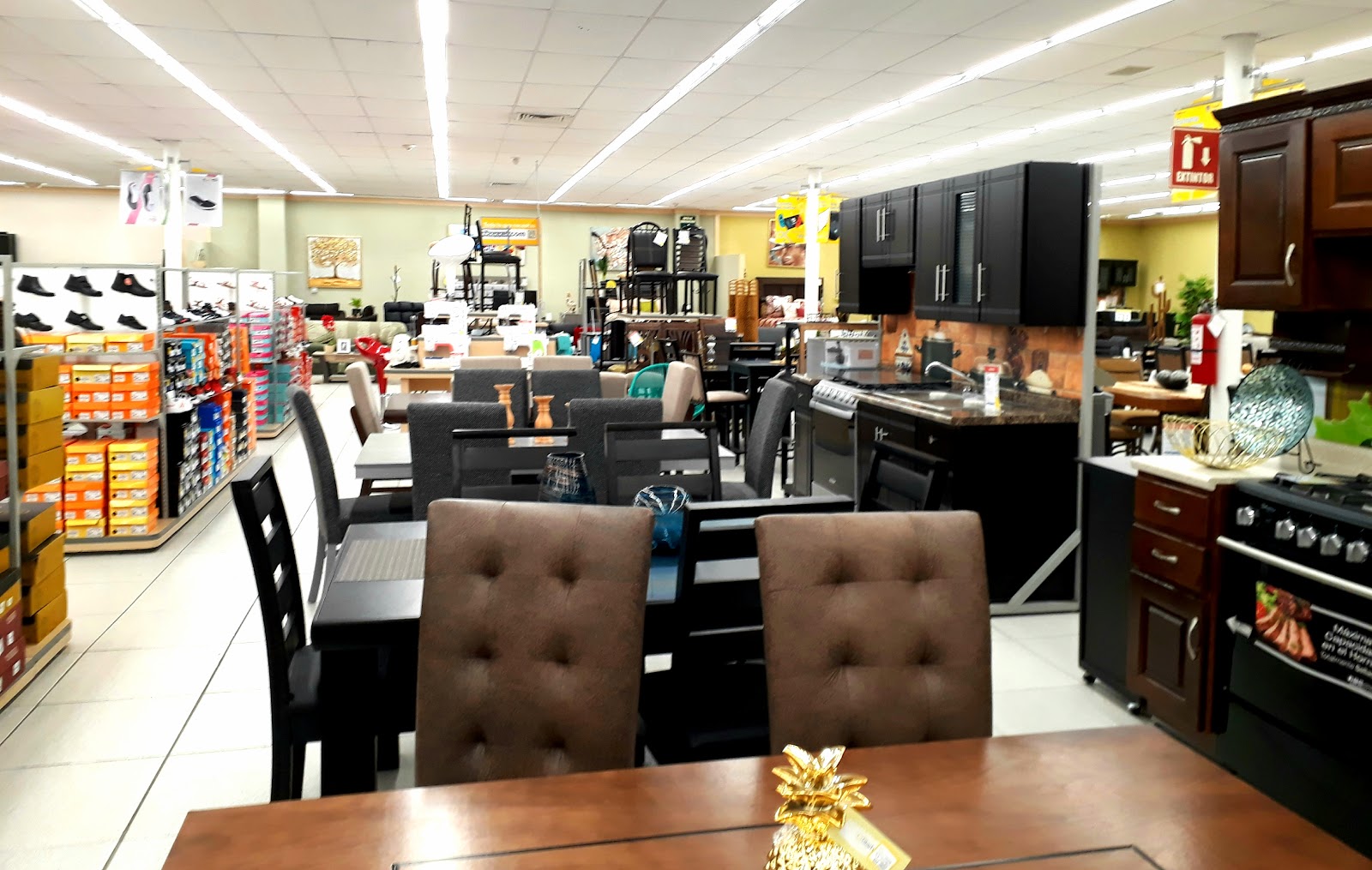 leetx-google-photo-1770326504524-1-1 leetx-google-photo-1770326504524-1-1