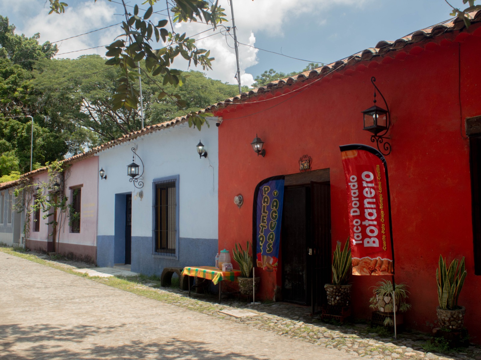 leetx-google-photo-46390-5 leetx-google-photo-46390-5