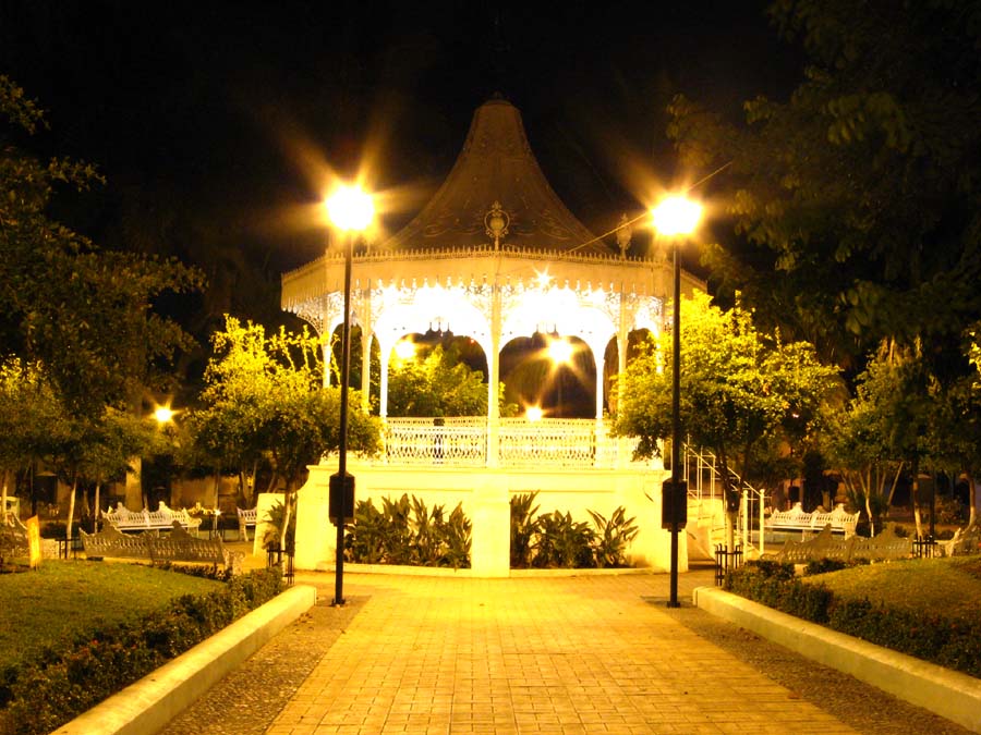 leetx-google-photo-47952-5 leetx-google-photo-47952-5