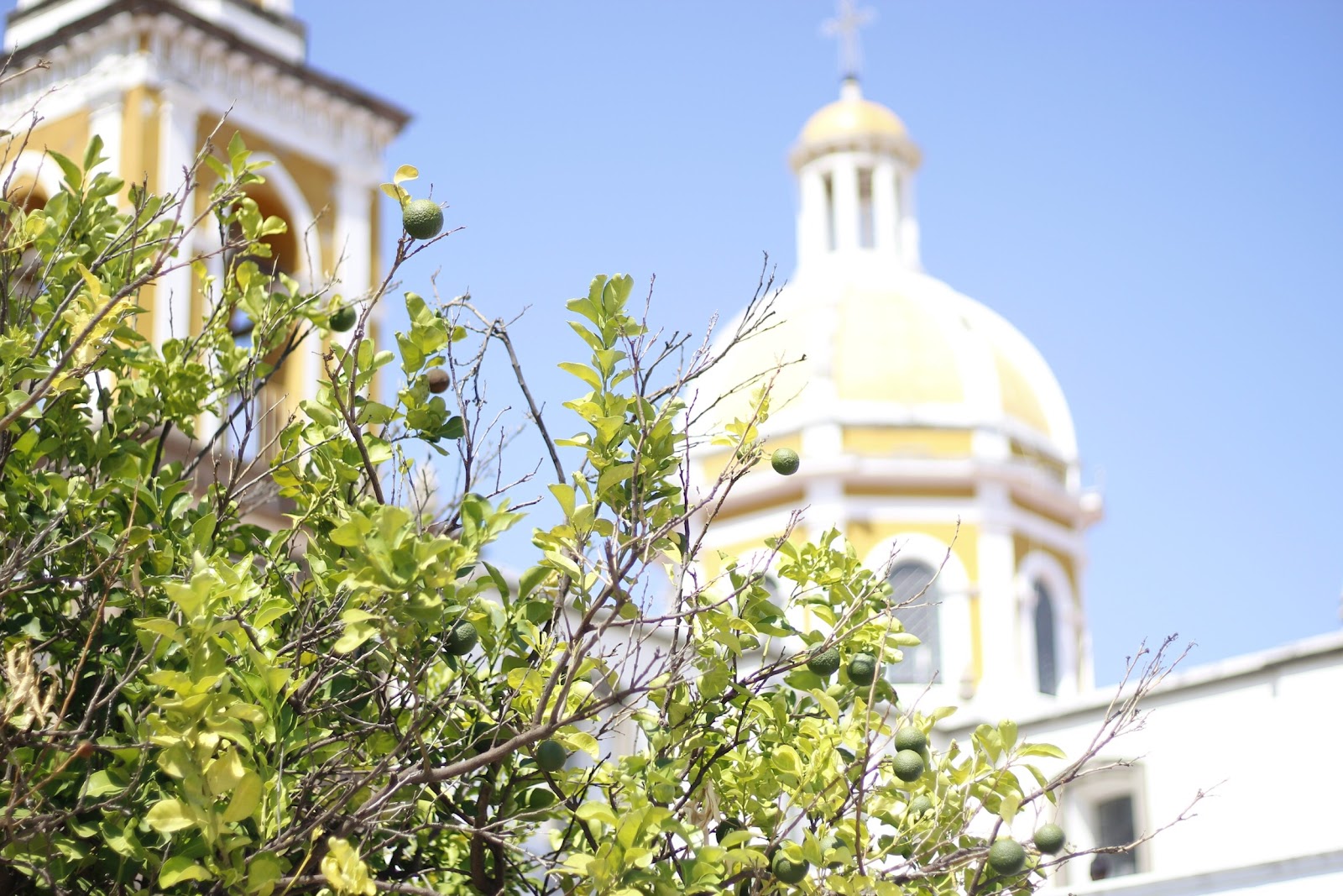 leetx-google-photo-47952-6 leetx-google-photo-47952-6