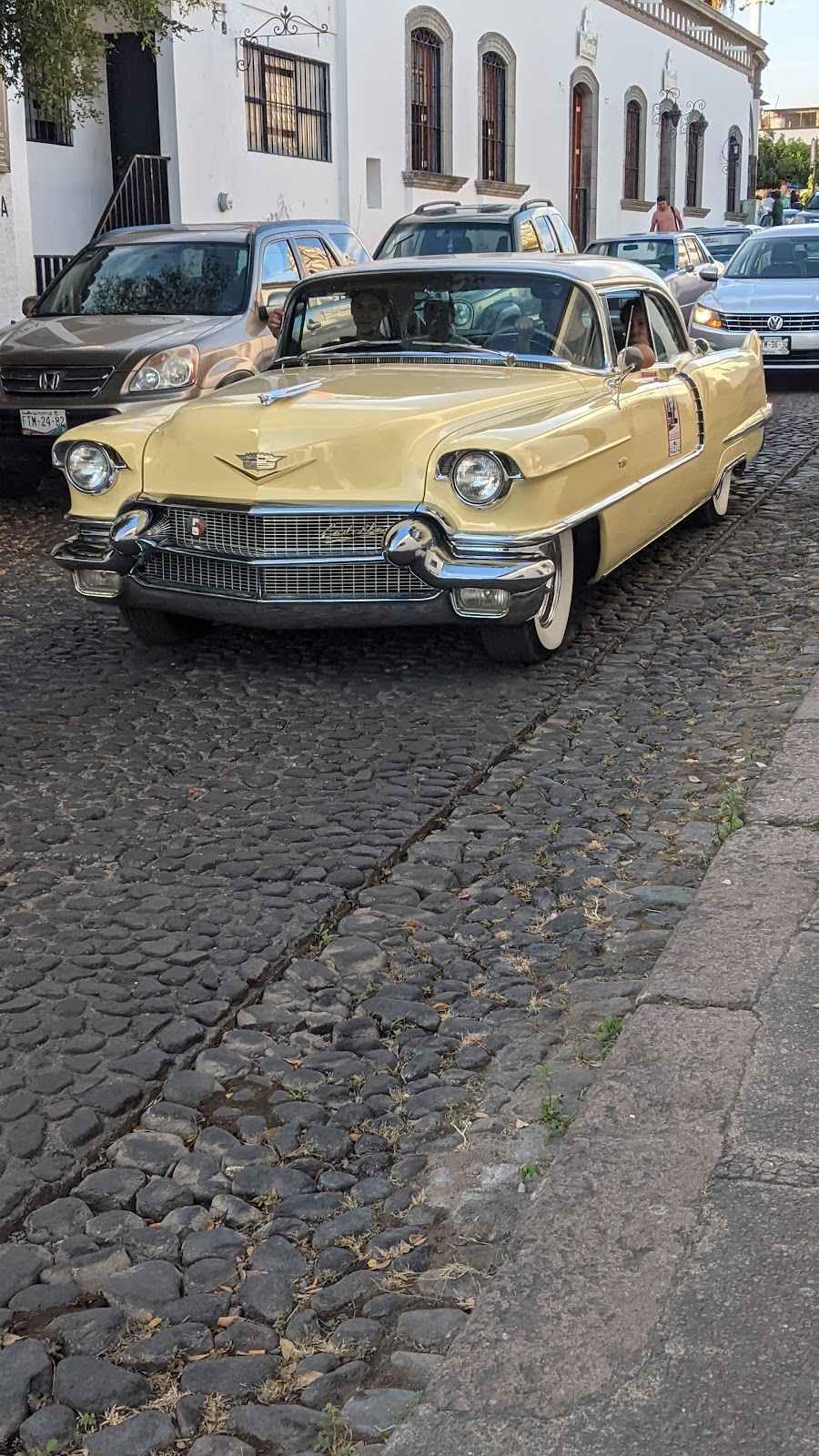 leetx-google-photo-48142-2 leetx-google-photo-48142-2