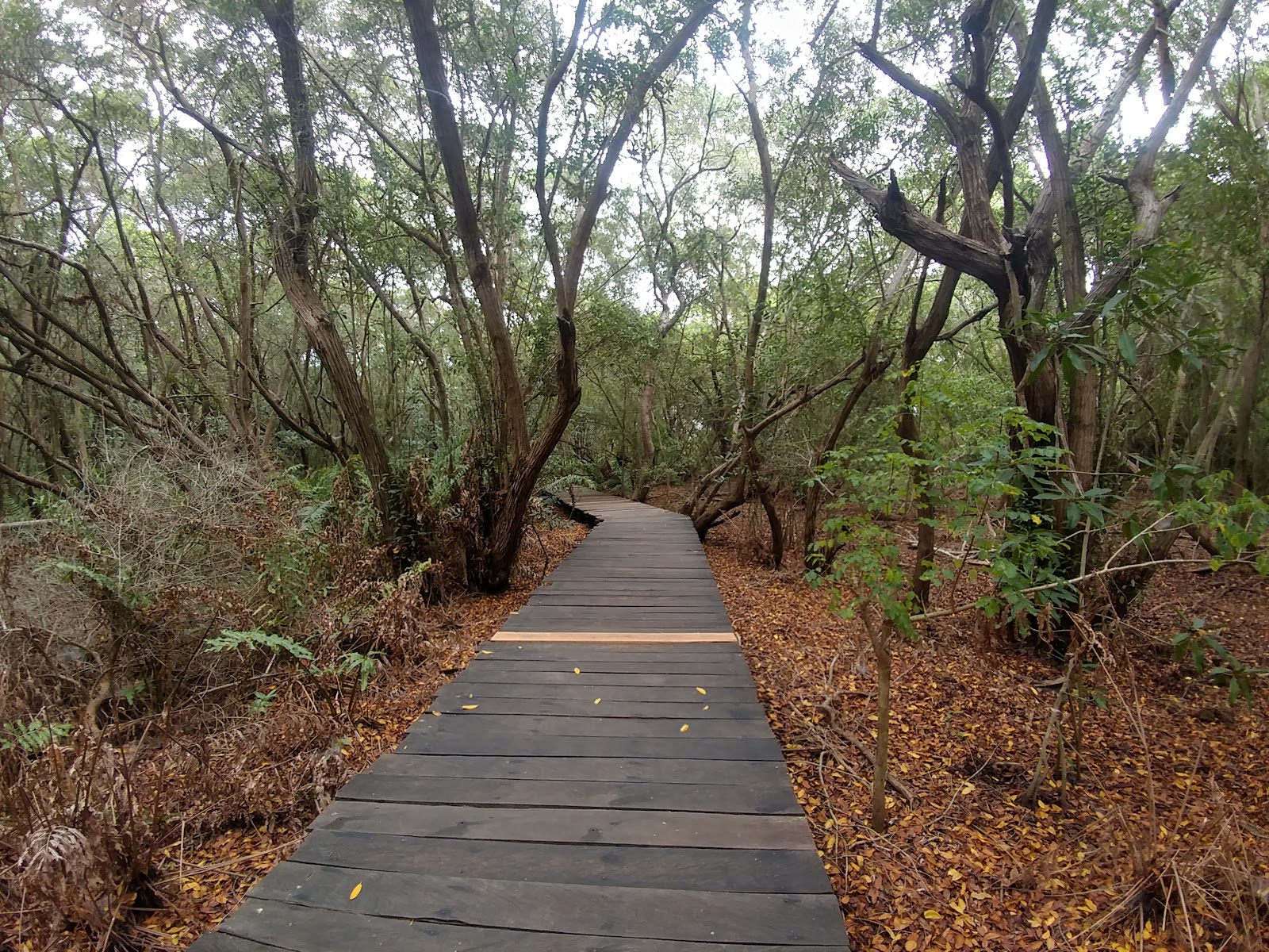 leetx-google-photo-49149-3 leetx-google-photo-49149-3