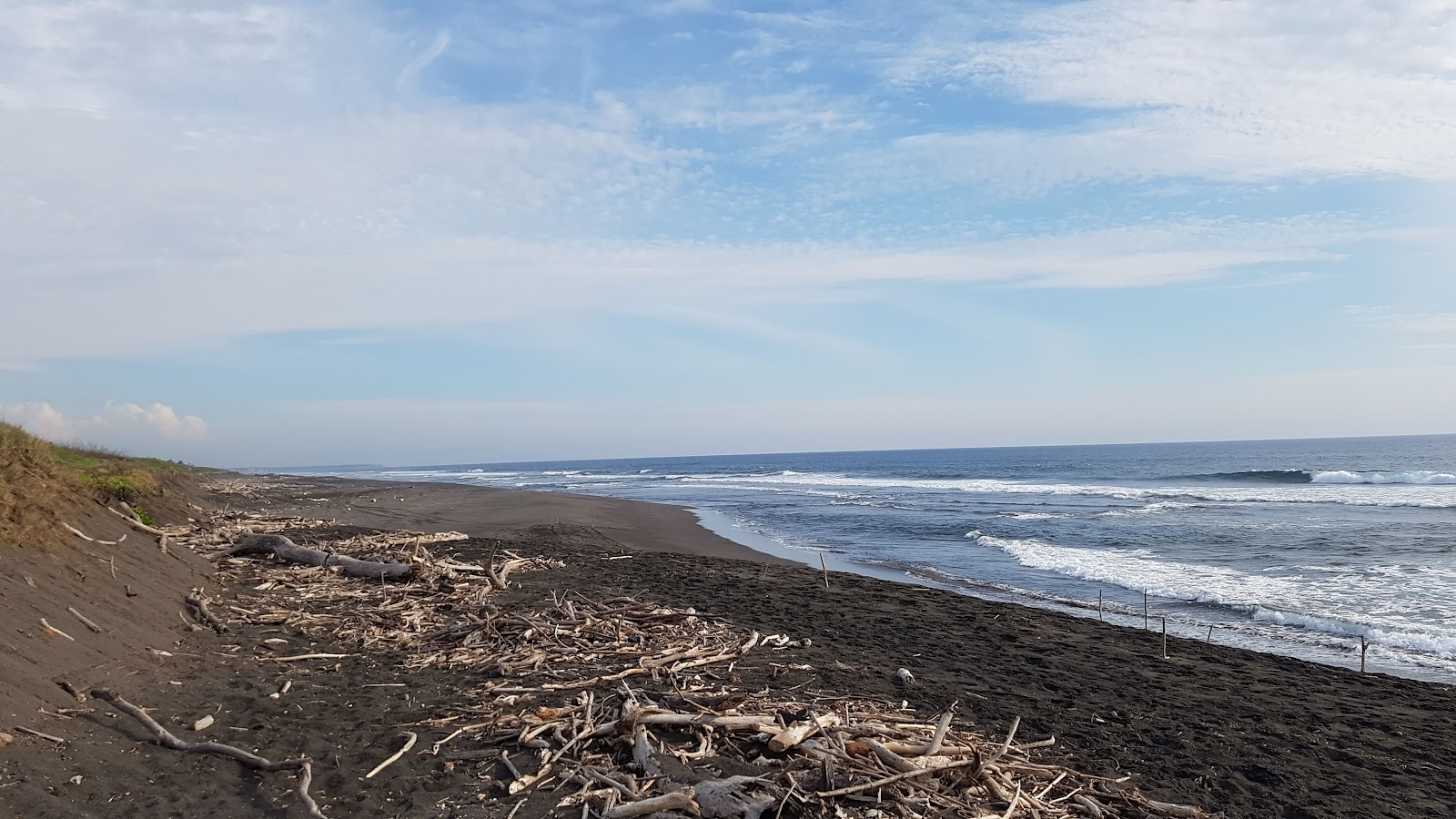 leetx-google-photo-49149-5 leetx-google-photo-49149-5