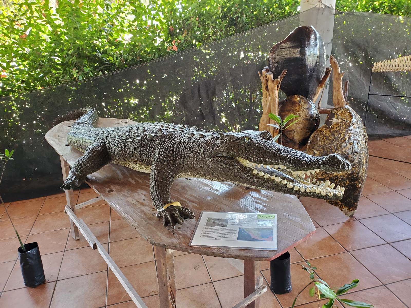 leetx-google-photo-49149-7 leetx-google-photo-49149-7