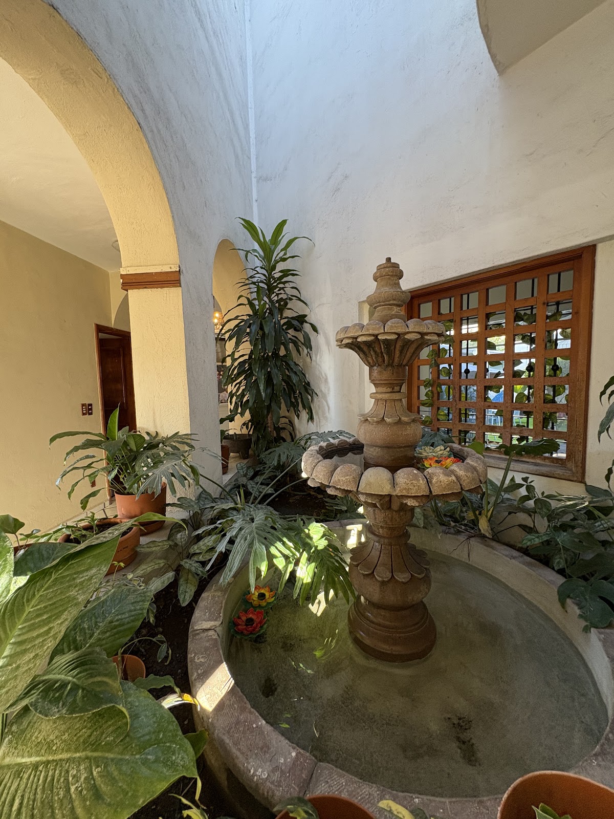 leetx-google-photo-50226-3 leetx-google-photo-50226-3