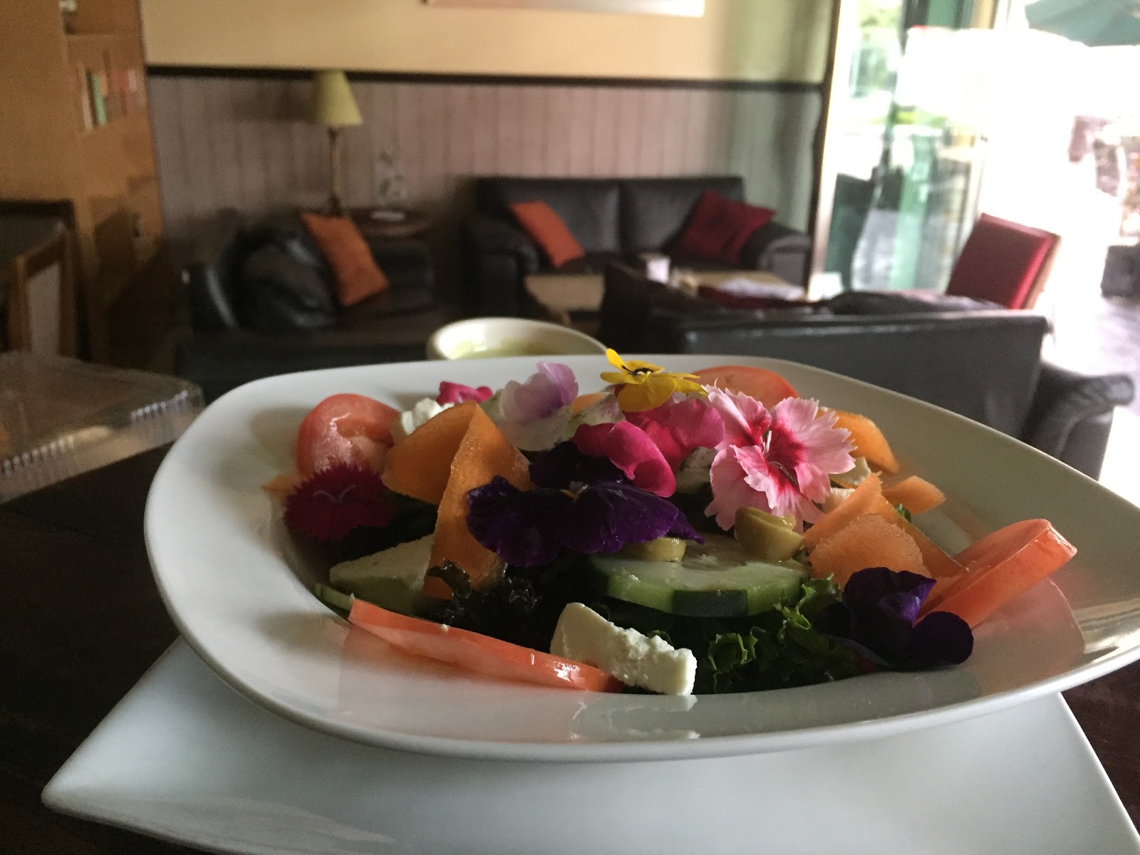 leetx-google-photo-52067-5 leetx-google-photo-52067-5