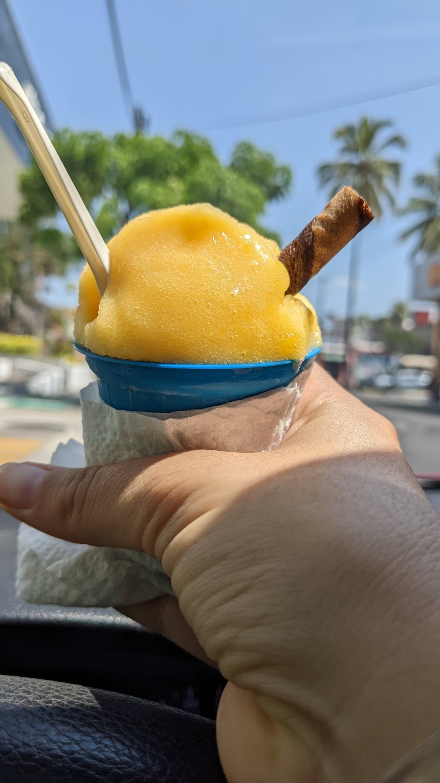 leetx-google-photo-53179-6 leetx-google-photo-53179-6