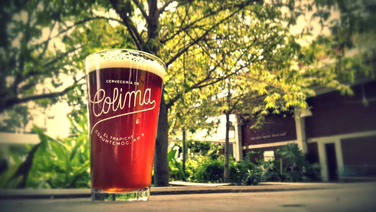 leetx-google-photo-55869-2 leetx-google-photo-55869-2