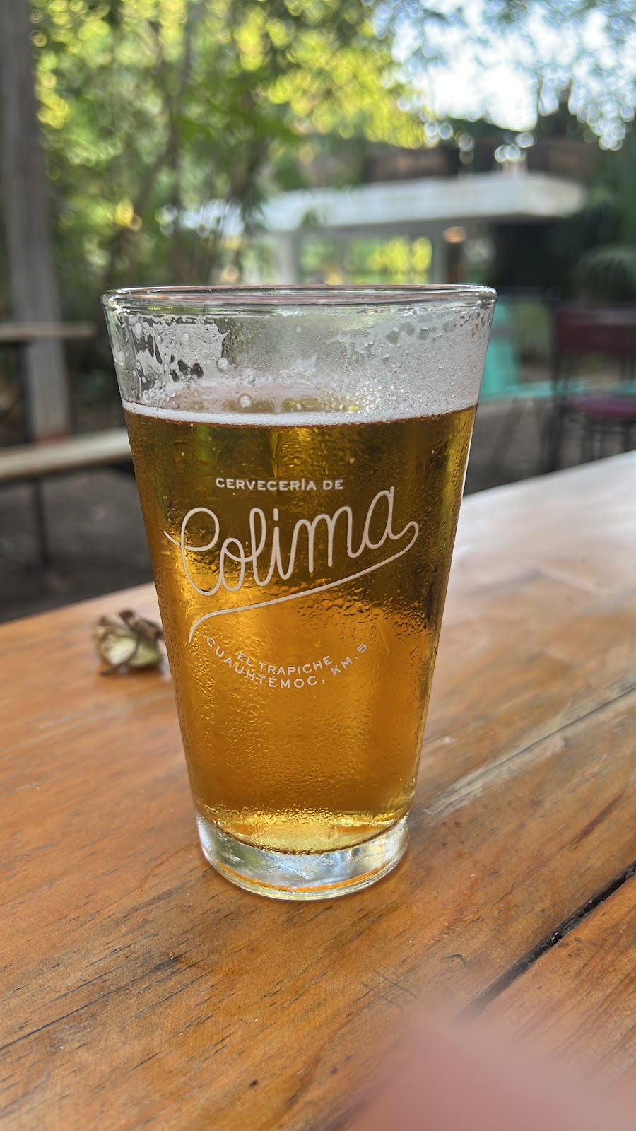 leetx-google-photo-55869-5 leetx-google-photo-55869-5