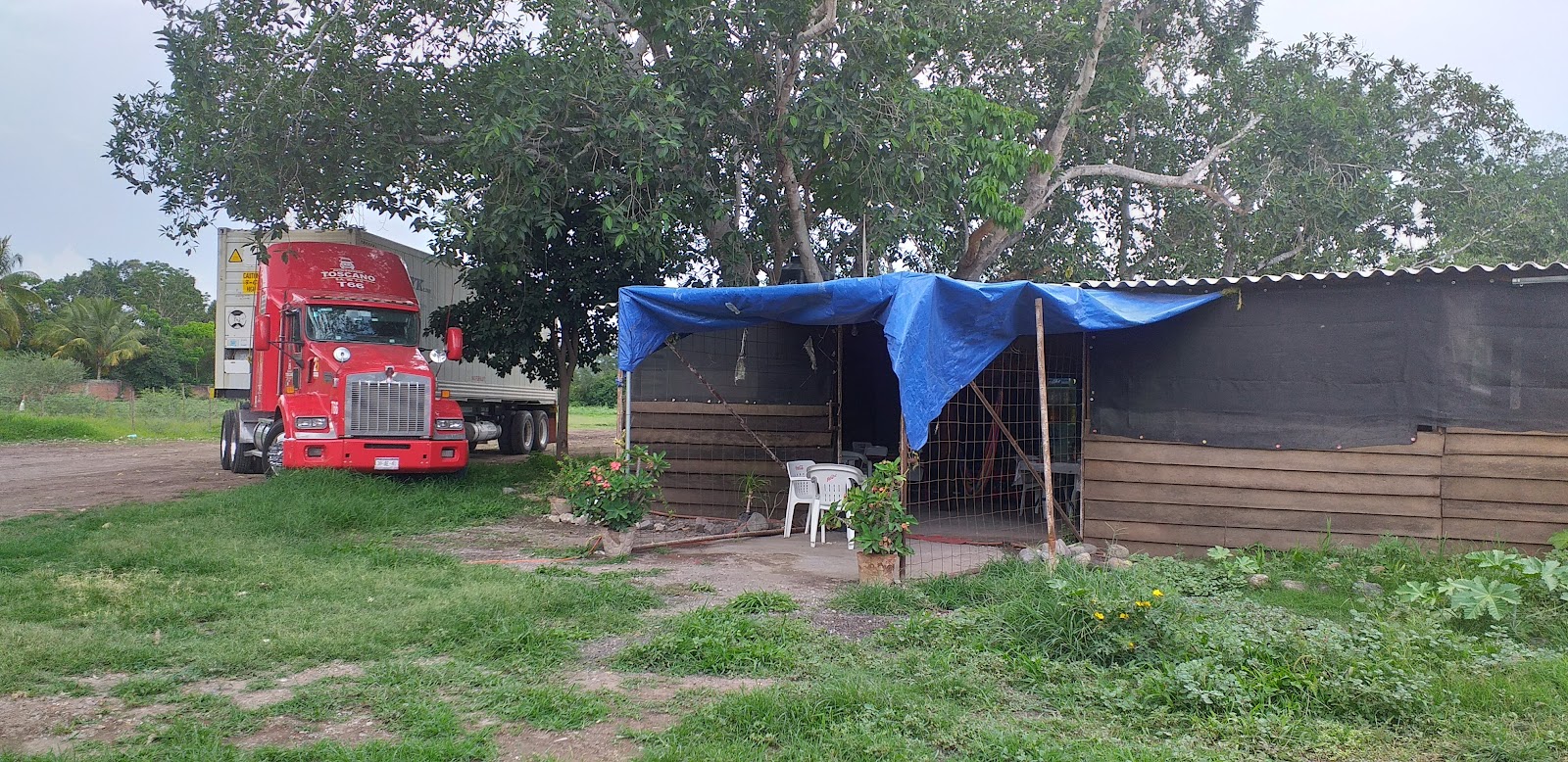 leetx-google-photo-55968-3 leetx-google-photo-55968-3