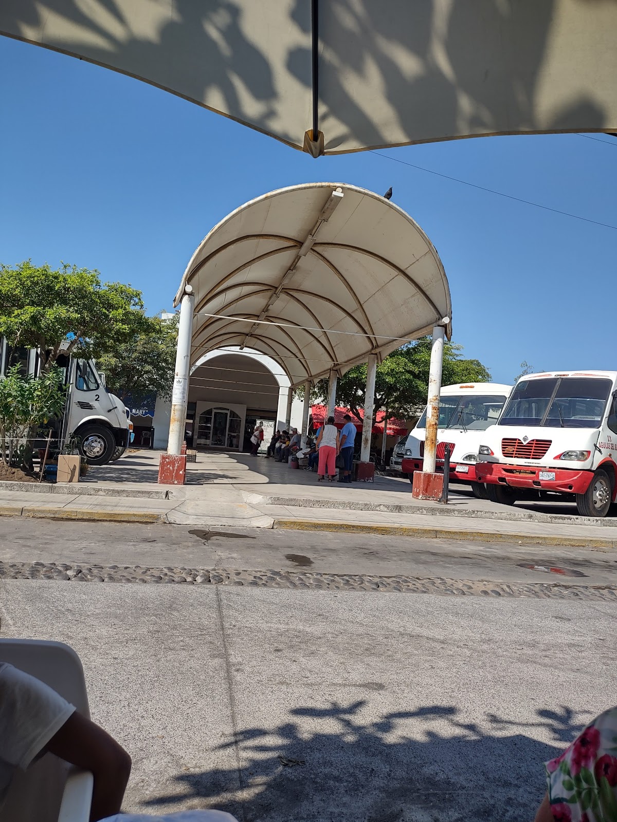 leetx-google-photo-57034-2 leetx-google-photo-57034-2