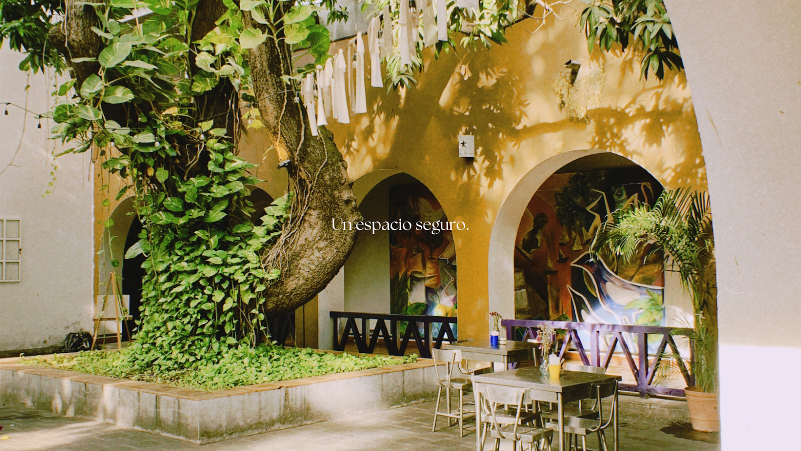 leetx-google-photo-58180-3 leetx-google-photo-58180-3