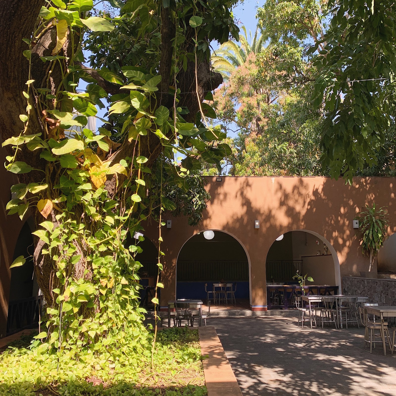 leetx-google-photo-58180-4 leetx-google-photo-58180-4