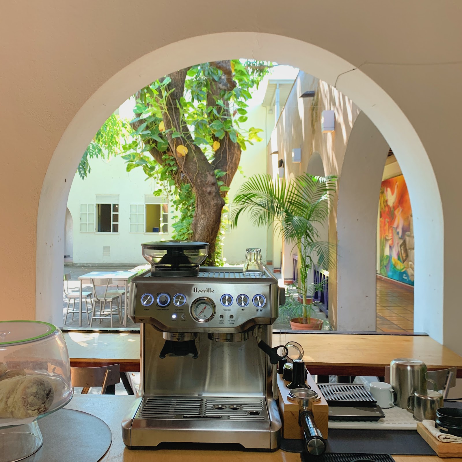 leetx-google-photo-58180-8 leetx-google-photo-58180-8