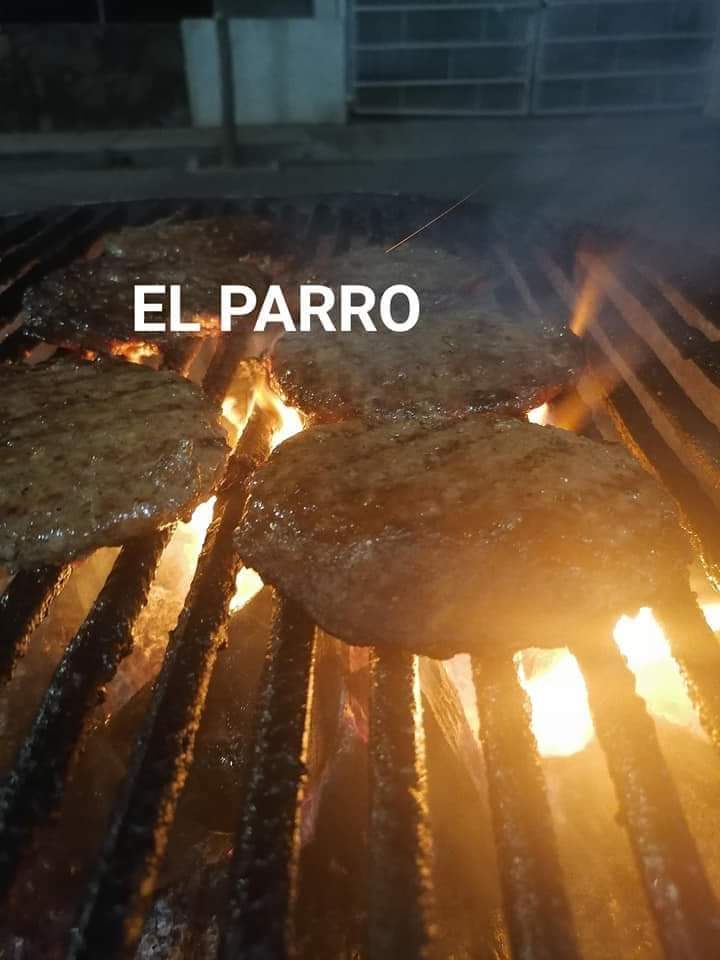 leetx-google-photo-58573-4 leetx-google-photo-58573-4