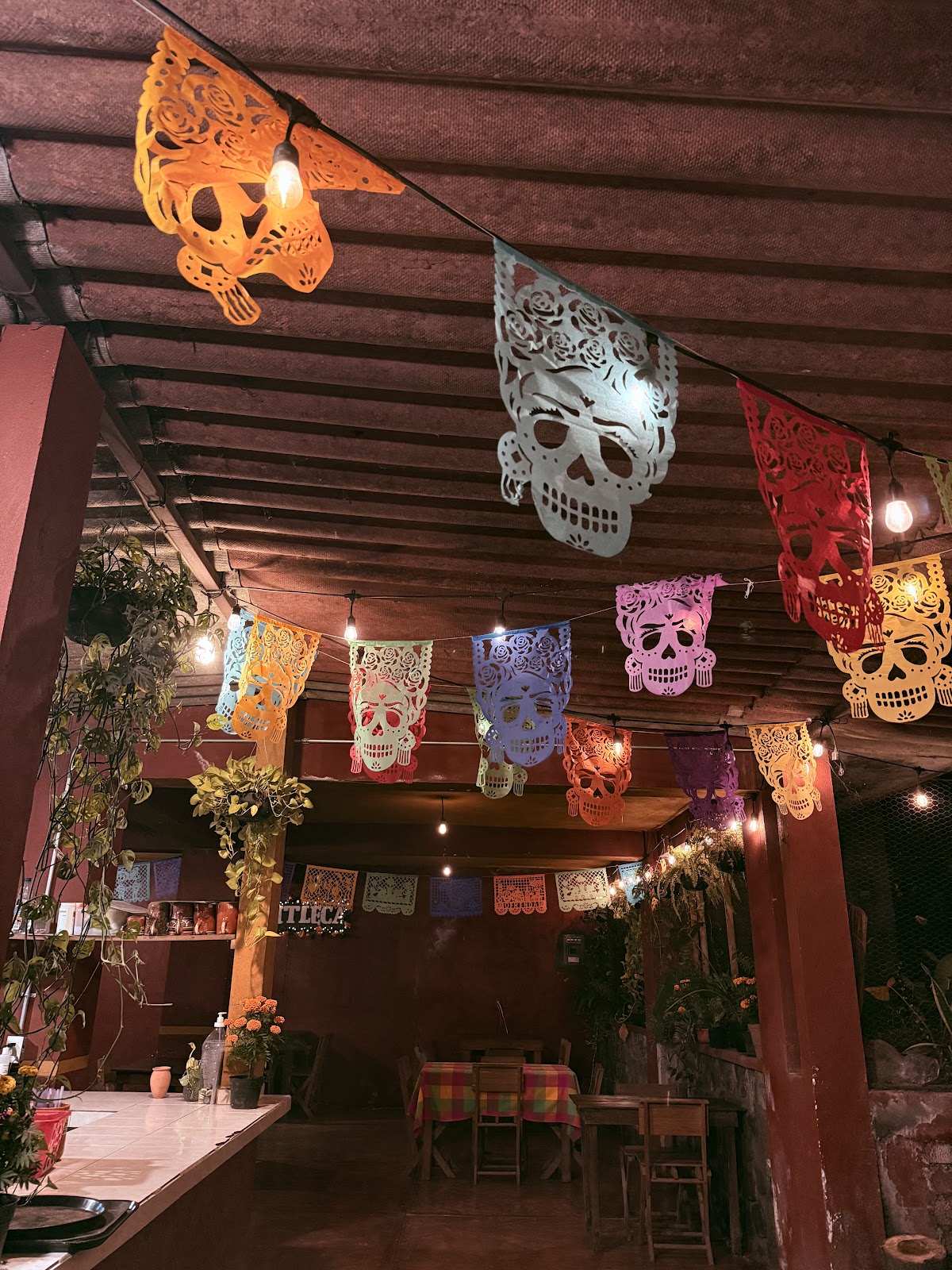 leetx-google-photo-60920-5 leetx-google-photo-60920-5