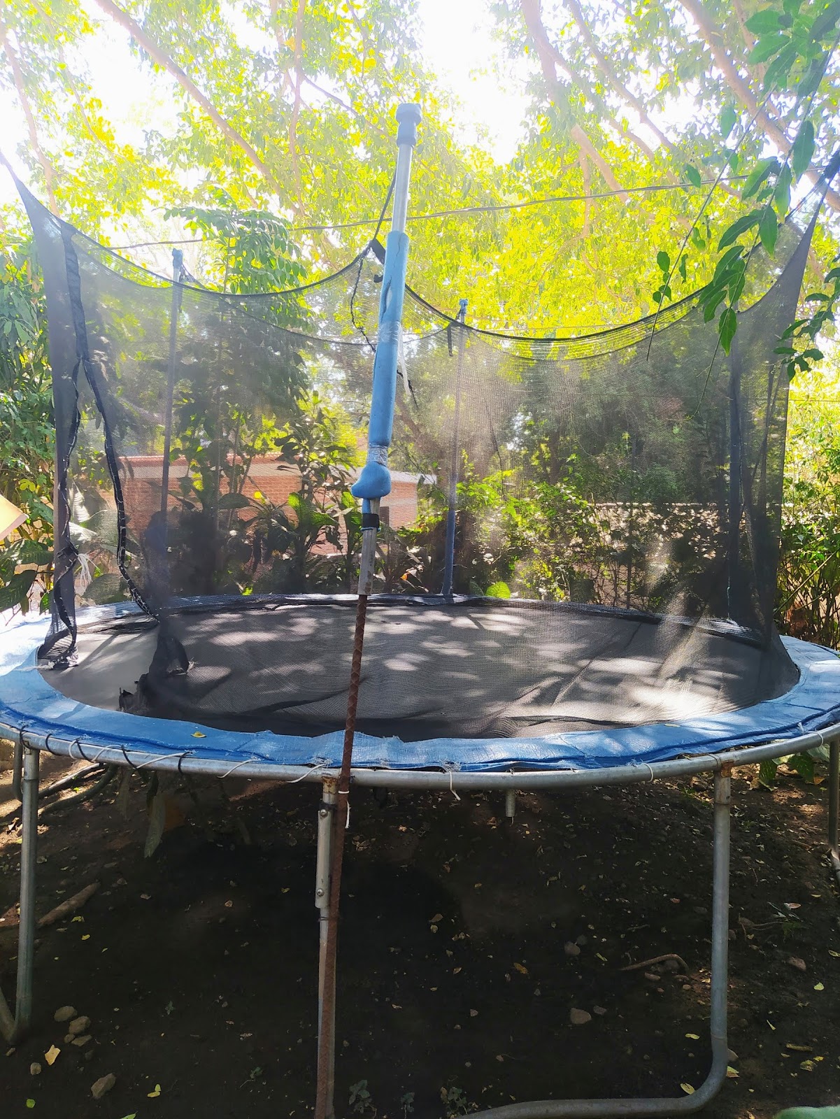 leetx-google-photo-60936-4 leetx-google-photo-60936-4