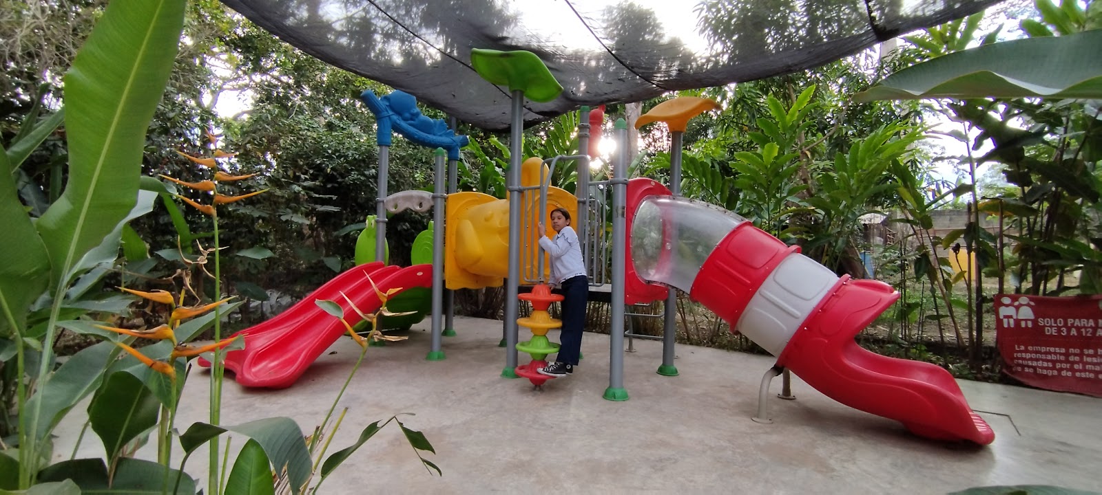 leetx-google-photo-60936-5 leetx-google-photo-60936-5