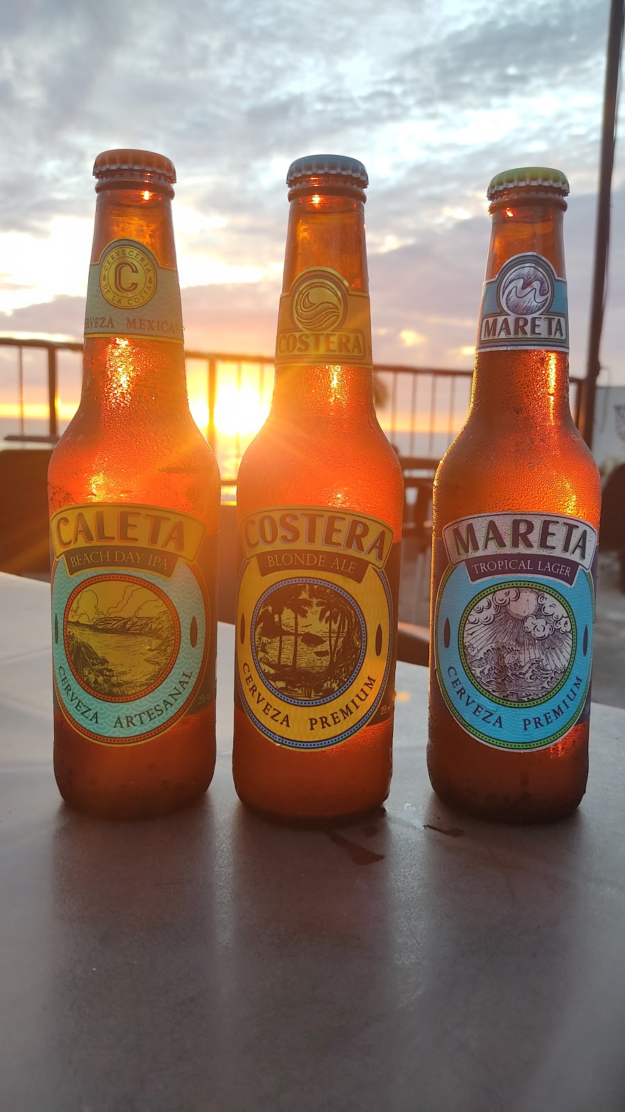 leetx-google-photo-61147-8 leetx-google-photo-61147-8