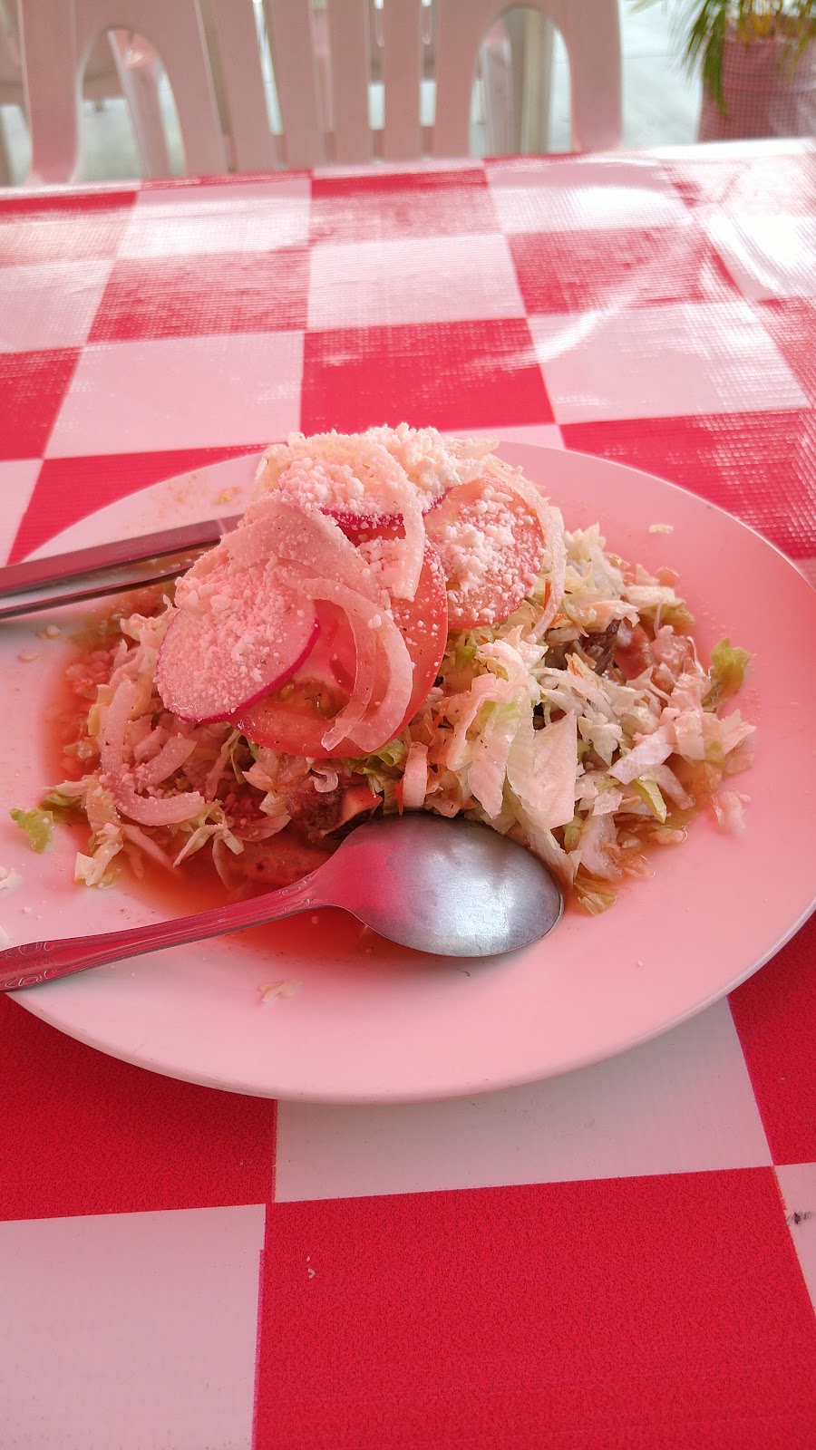 leetx-google-photo-61862-6 leetx-google-photo-61862-6