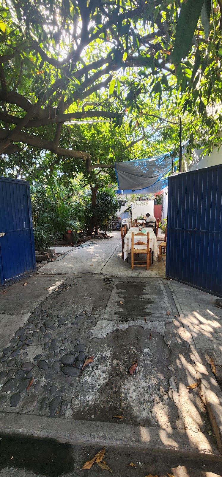 leetx-google-photo-62075-4 leetx-google-photo-62075-4