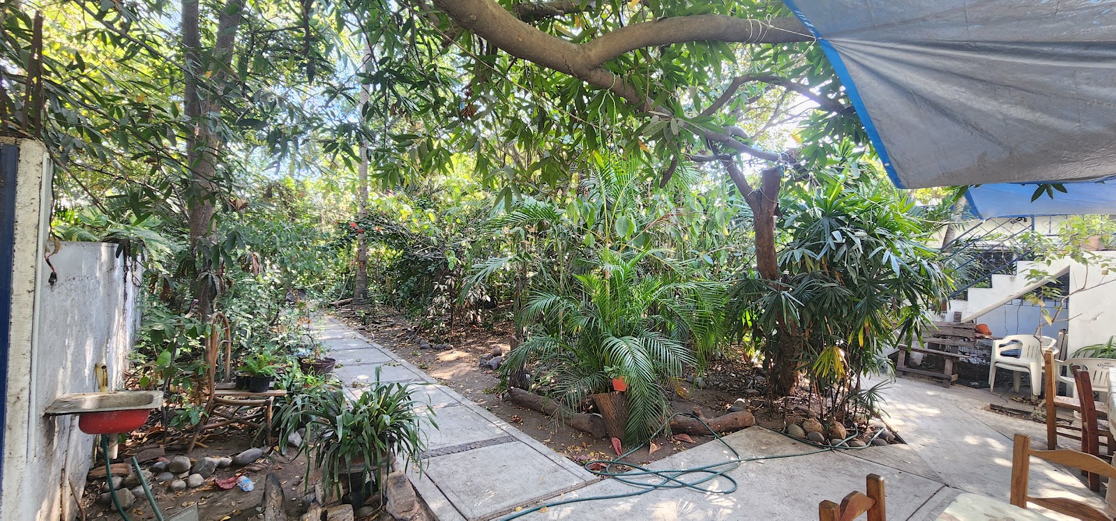 leetx-google-photo-62075-7 leetx-google-photo-62075-7