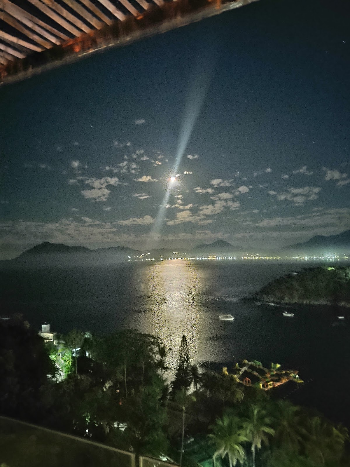 leetx-google-photo-62154-6 leetx-google-photo-62154-6