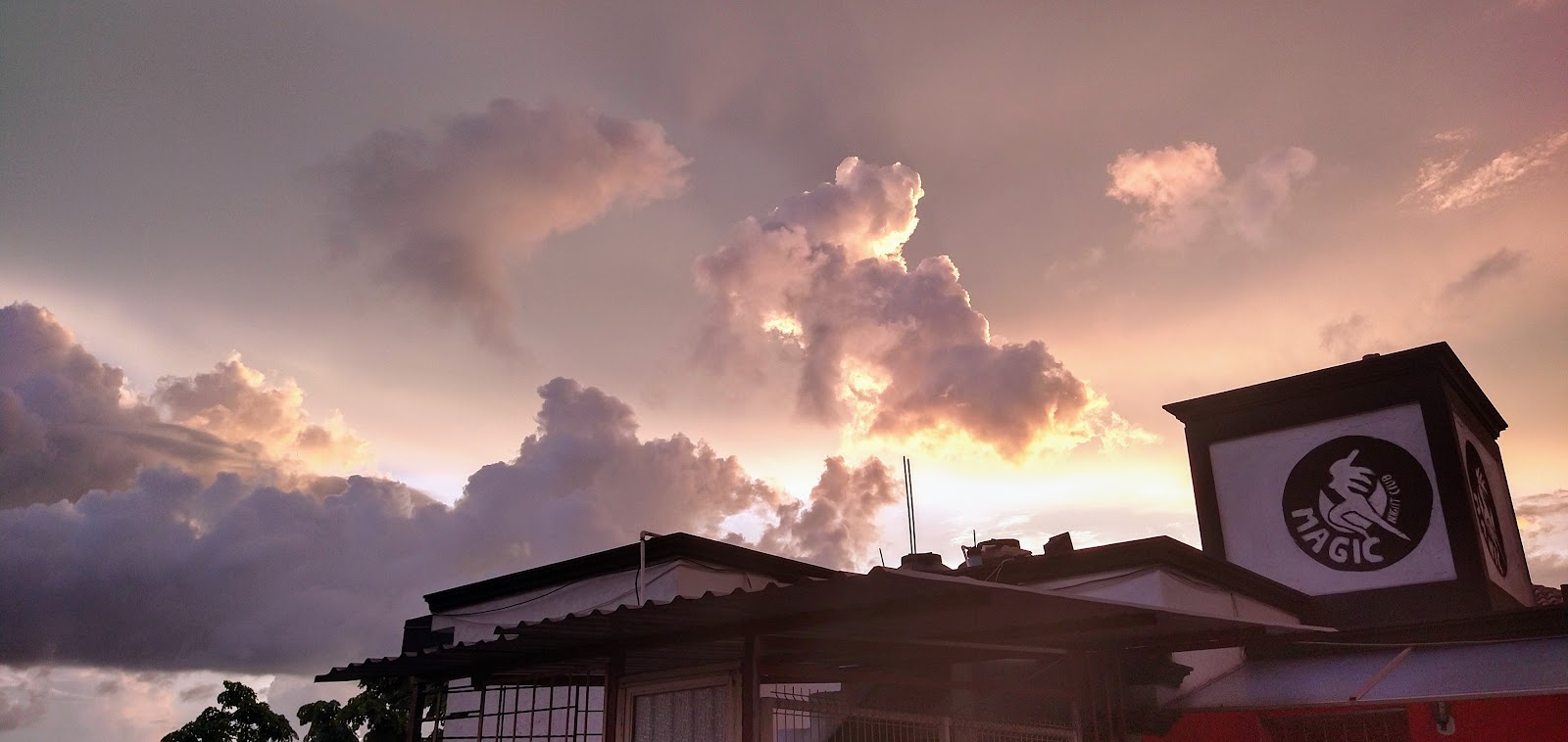 leetx-google-photo-62290-6 leetx-google-photo-62290-6