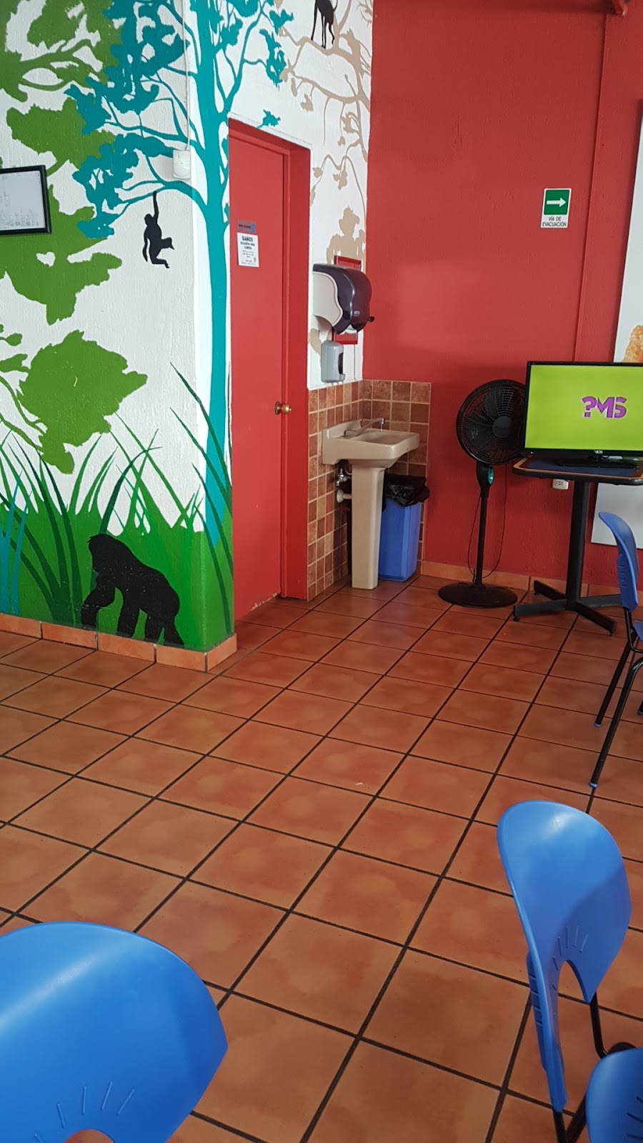 leetx-google-photo-63261-7 leetx-google-photo-63261-7