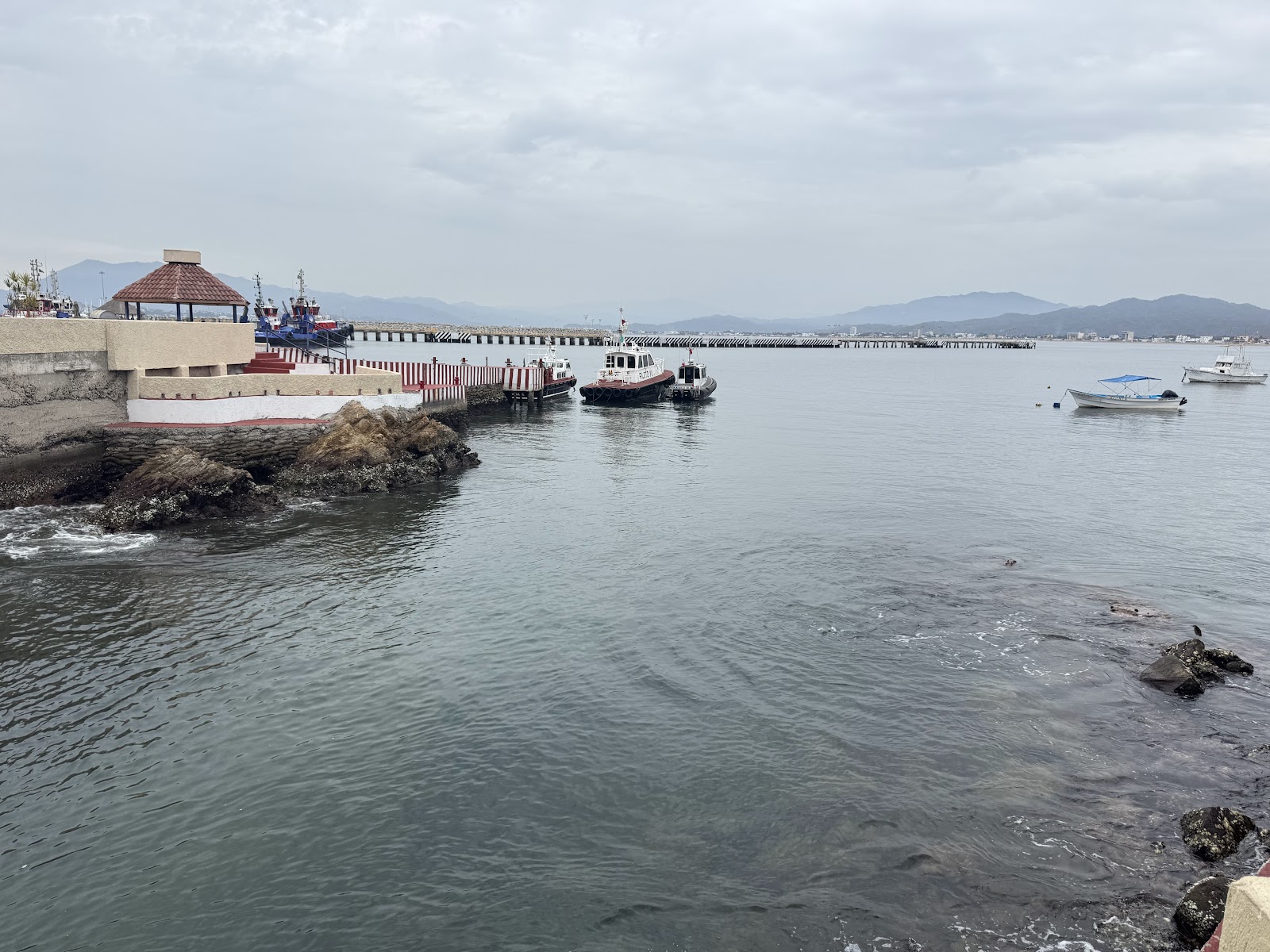 leetx-google-photo-64494-3 leetx-google-photo-64494-3