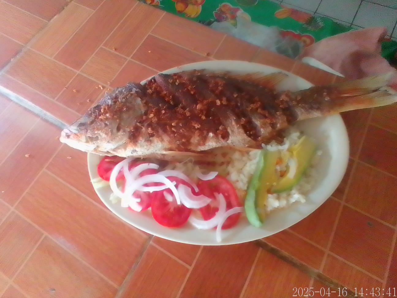 leetx-google-photo-64504-3 leetx-google-photo-64504-3