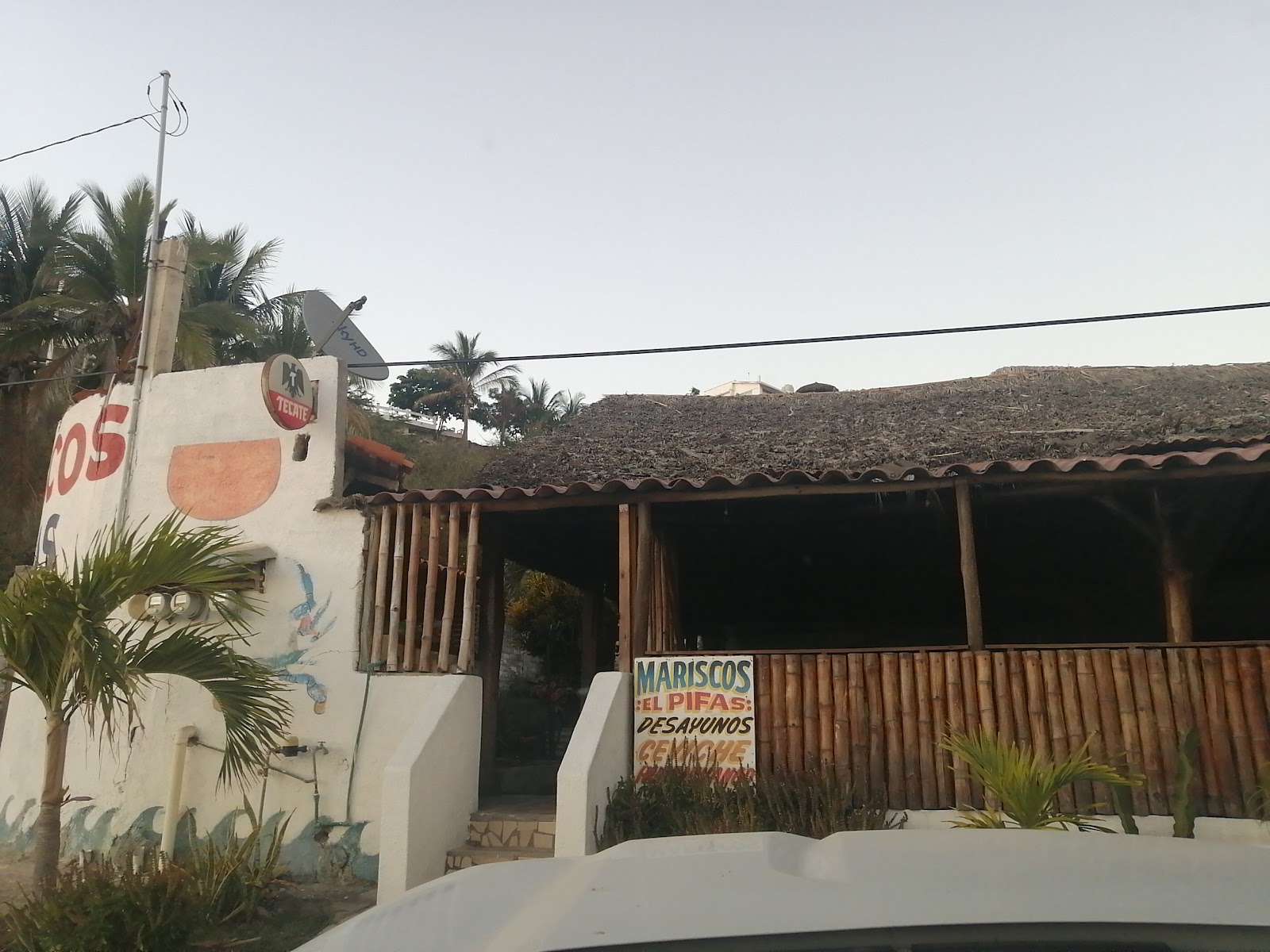 leetx-google-photo-64504-5 leetx-google-photo-64504-5