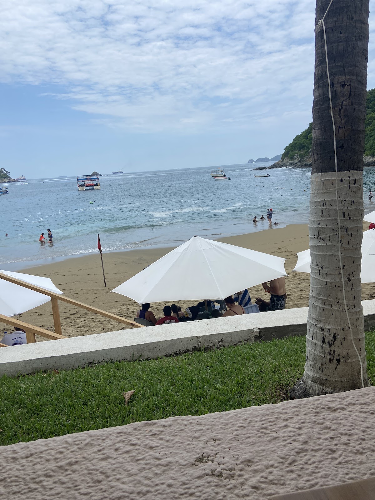 leetx-google-photo-64836-6 leetx-google-photo-64836-6