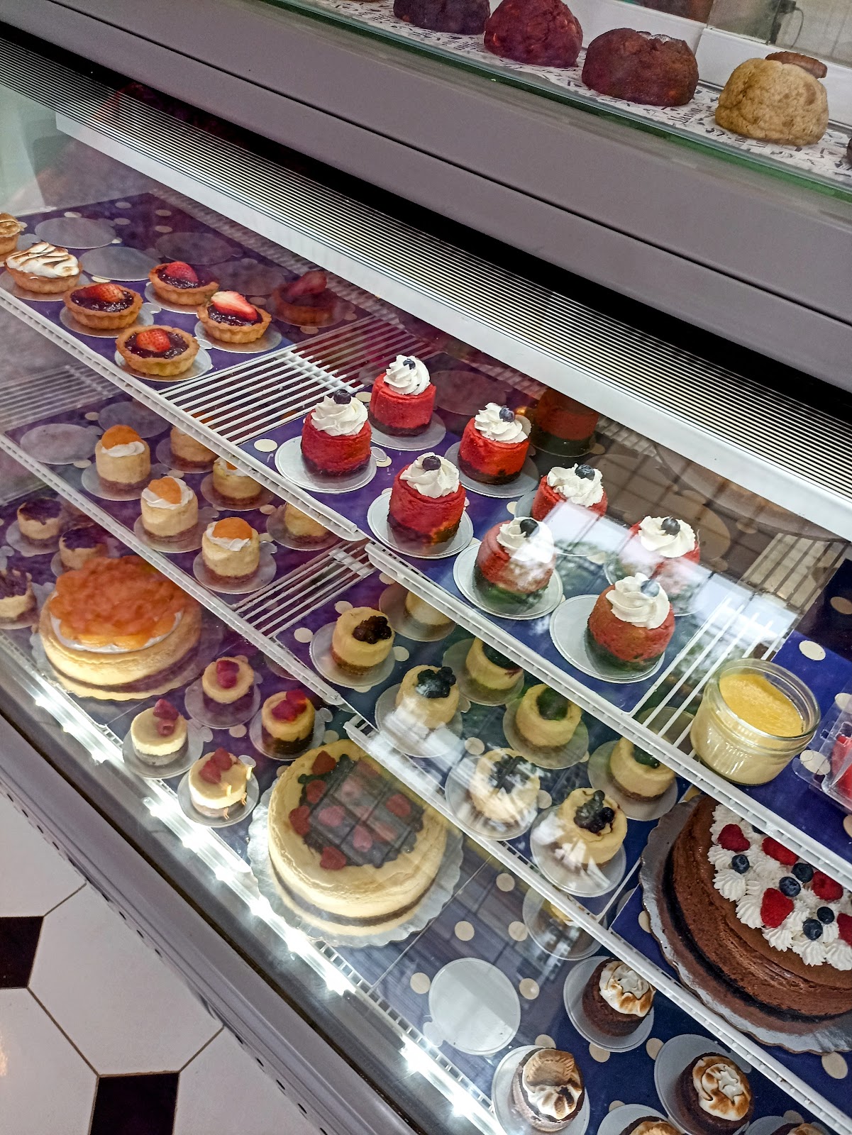 leetx-google-photo-65514-3 leetx-google-photo-65514-3