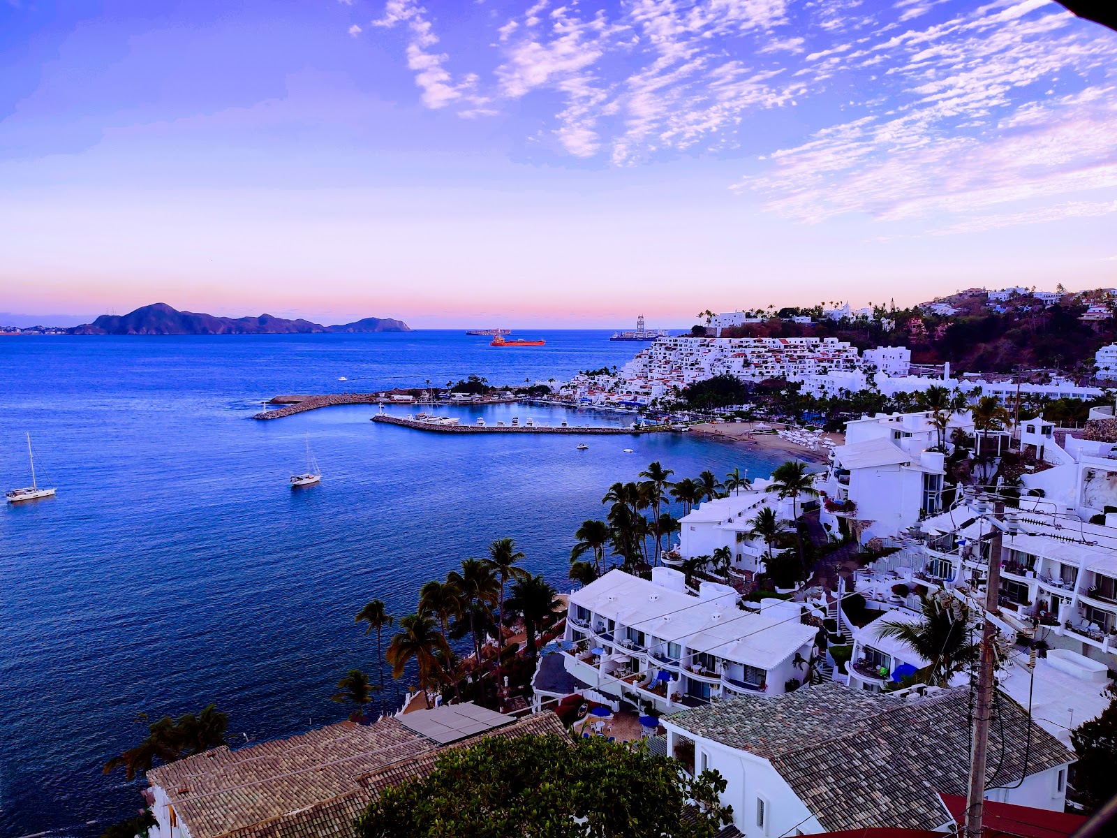 leetx-google-photo-65580-3 leetx-google-photo-65580-3