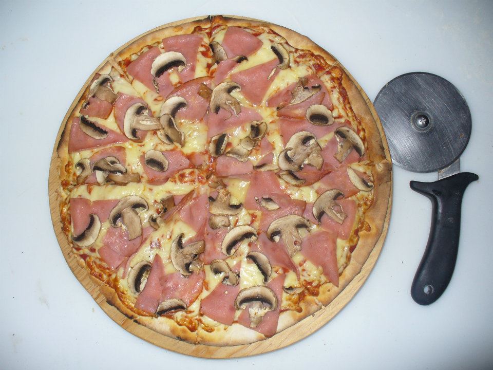 leetx-google-photo-65660-2 leetx-google-photo-65660-2