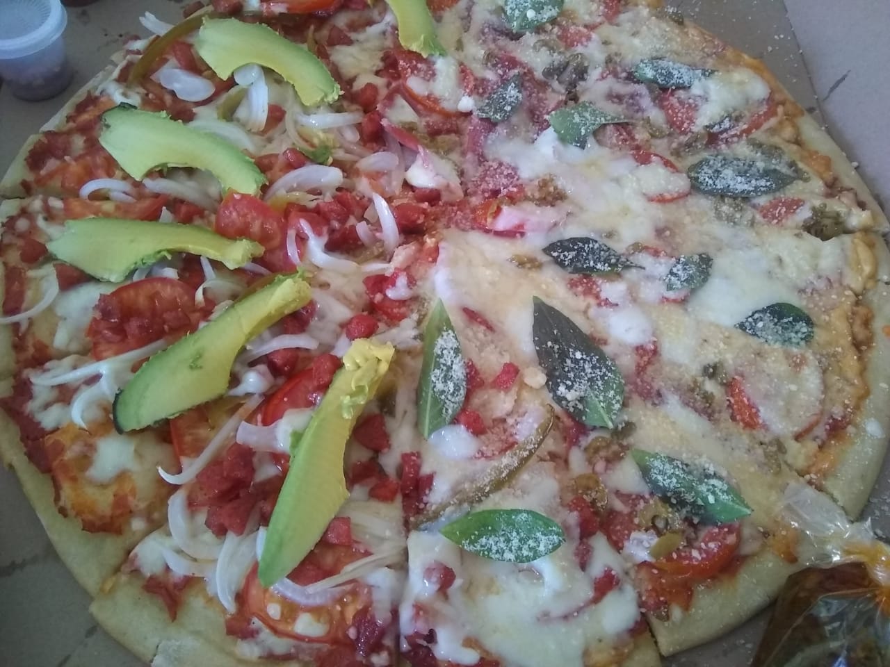 leetx-google-photo-65724-4 leetx-google-photo-65724-4