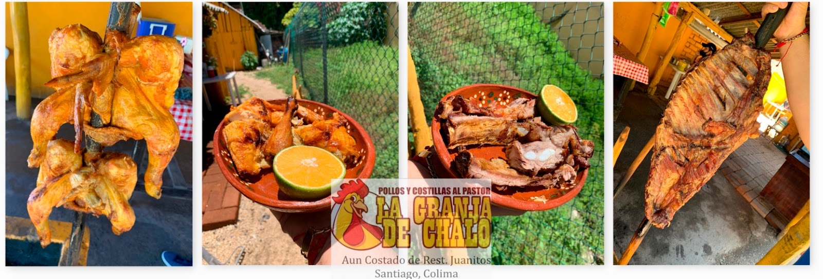 leetx-google-photo-65947-6 leetx-google-photo-65947-6