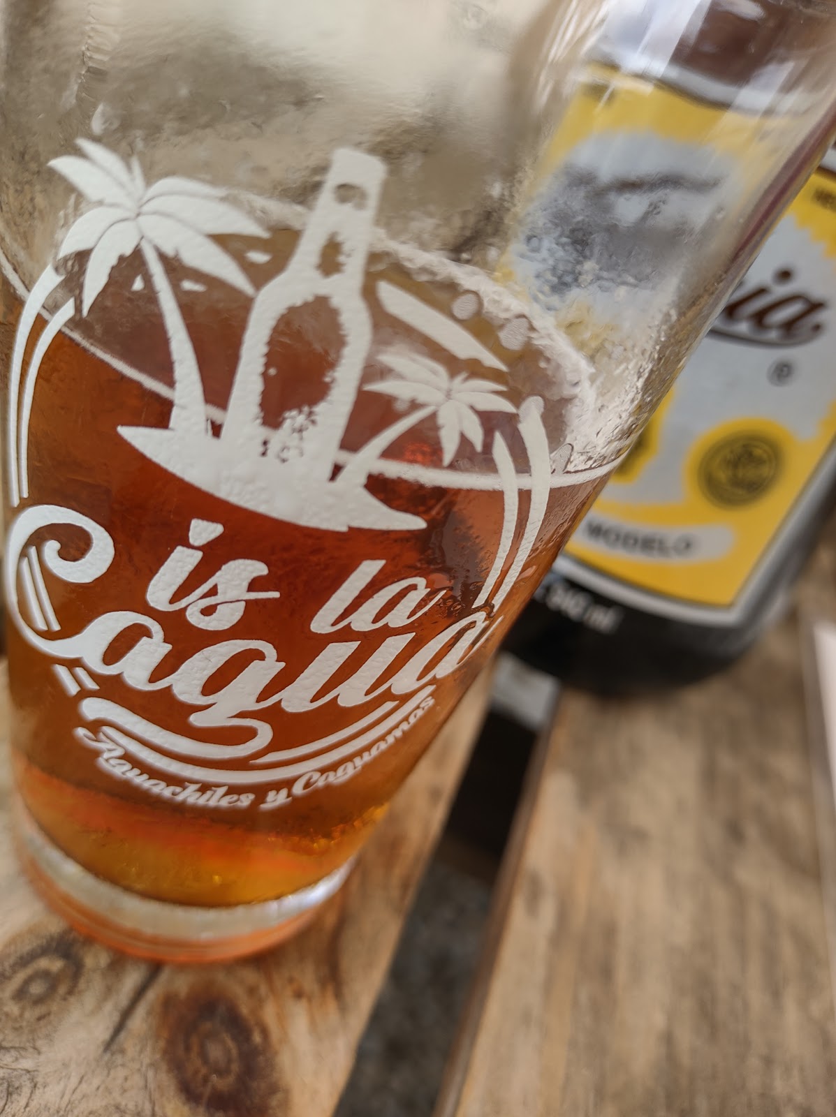 leetx-google-photo-66207-2 leetx-google-photo-66207-2