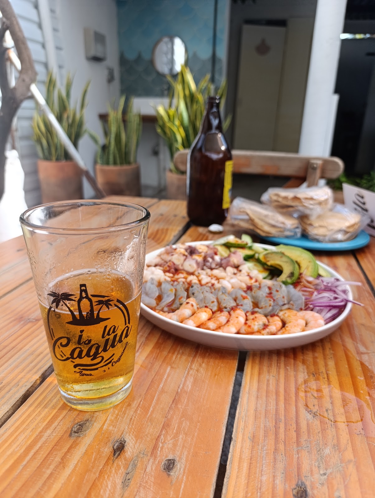 leetx-google-photo-66207-3 leetx-google-photo-66207-3