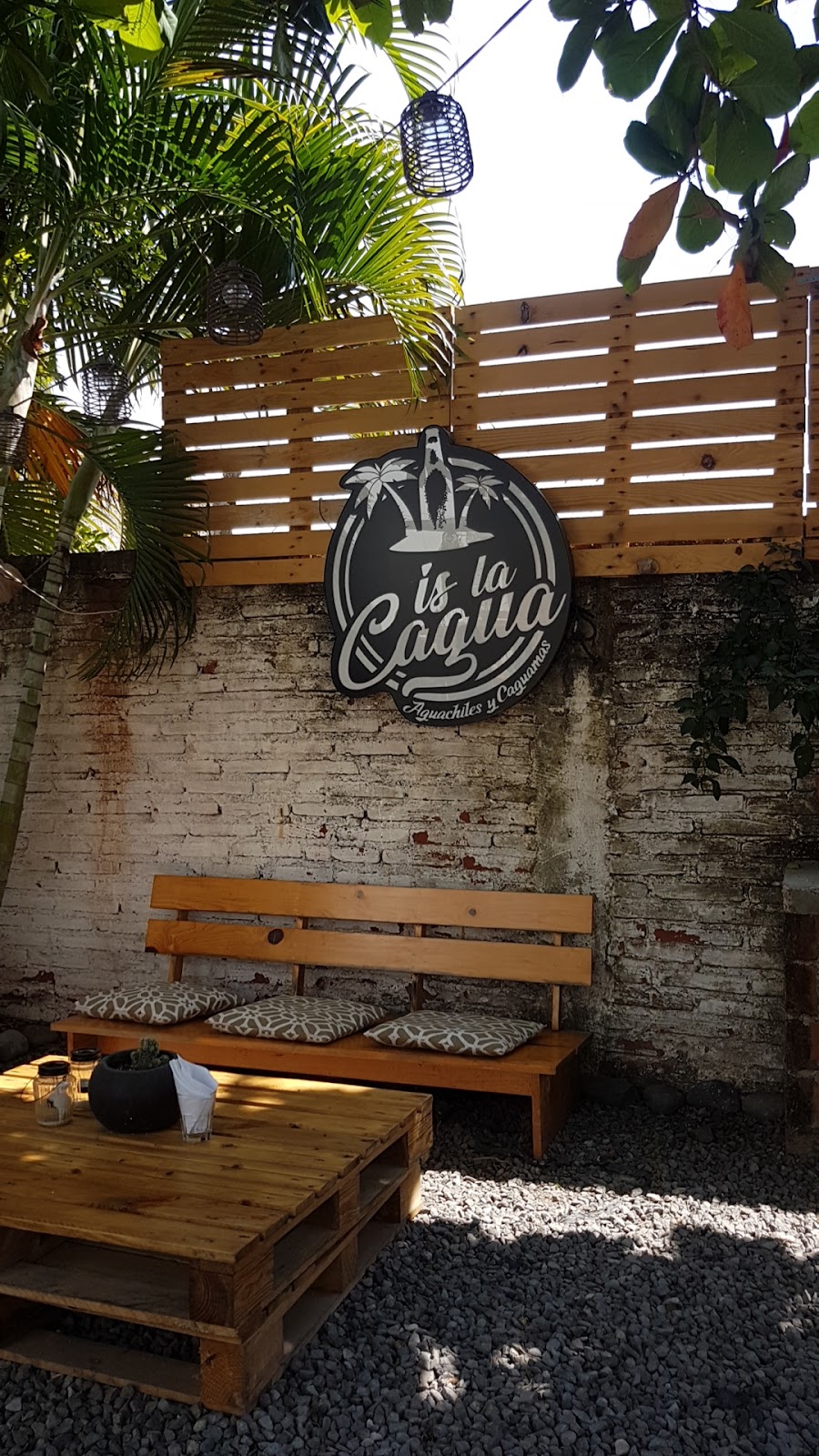 leetx-google-photo-66207-6 leetx-google-photo-66207-6