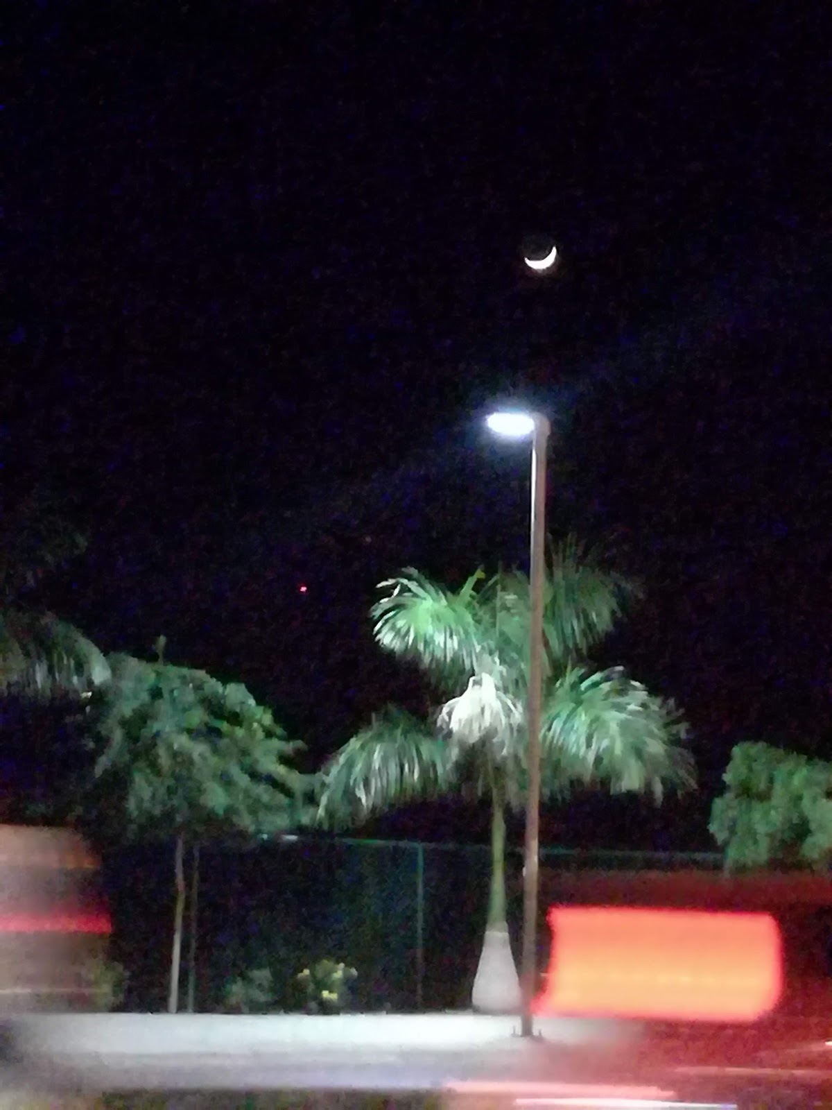 leetx-google-photo-67083-8 leetx-google-photo-67083-8