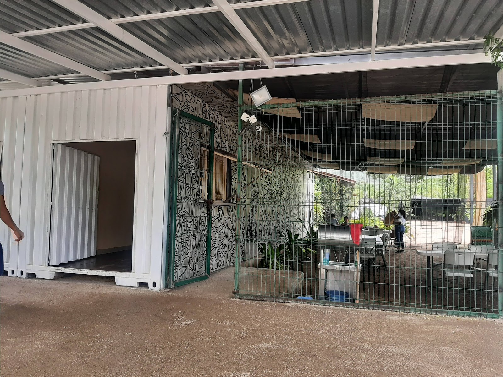 leetx-google-photo-67275-6 leetx-google-photo-67275-6