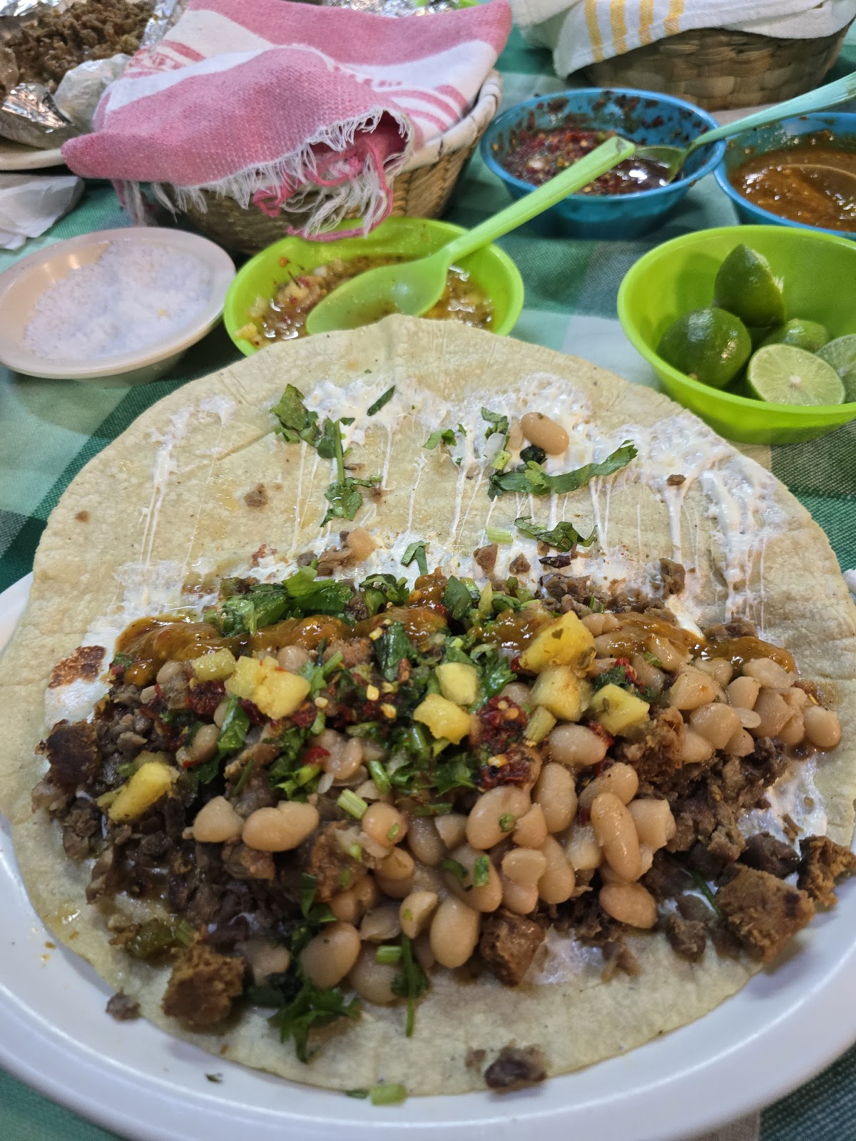 leetx-google-photo-67381-2 leetx-google-photo-67381-2