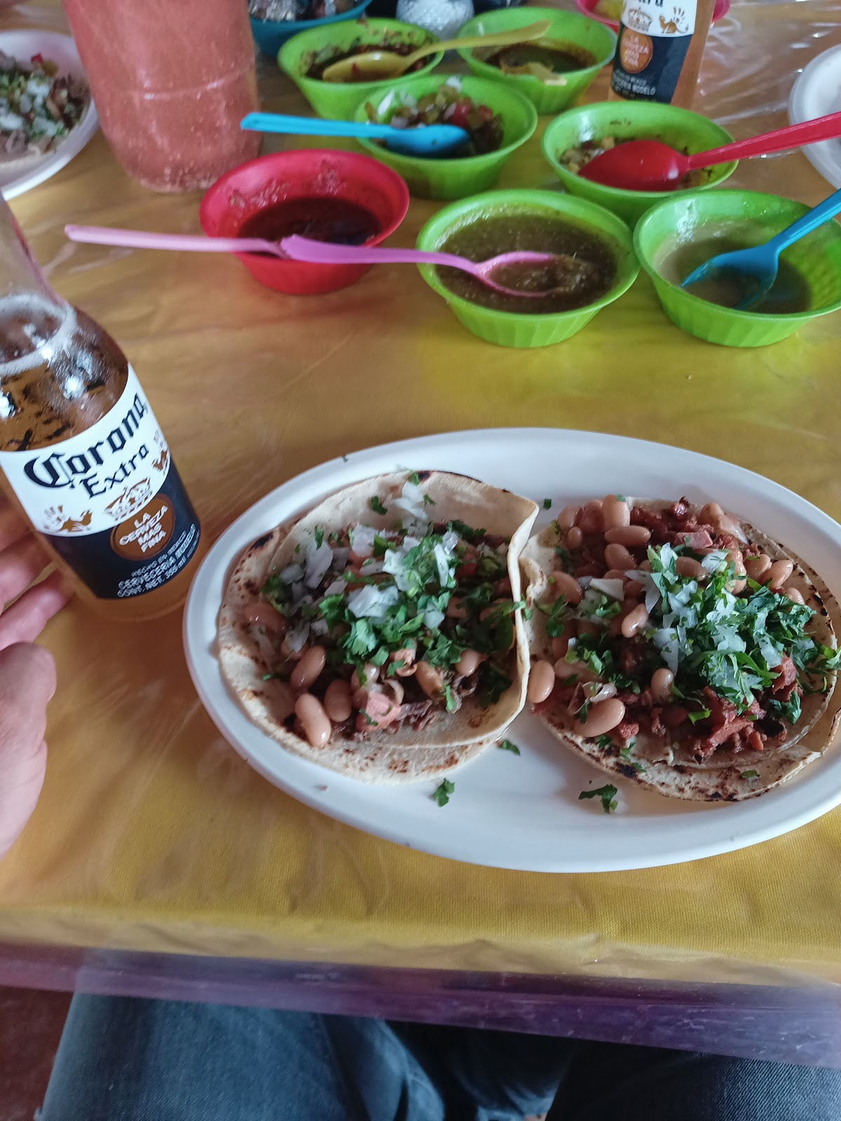 leetx-google-photo-67381-3 leetx-google-photo-67381-3